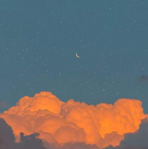 Meet your Posher, Julianna